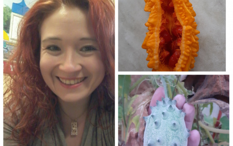 Интервью с нижегородкой, выращивающей тропические фрукты