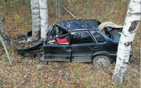 «Каждый считает себя асом»: двое нижегородцев погибли улетев в кювет на трассе