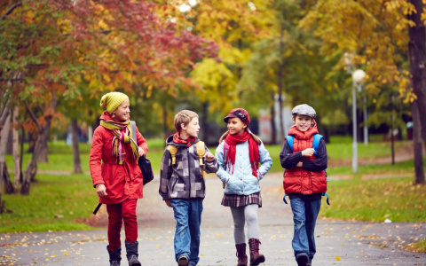 Важно, чтобы ребенку она не только нравилась, но и не вредила