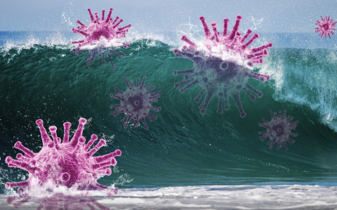 Вирусолог объяснил, почему нет смысла делить пандемию на волны