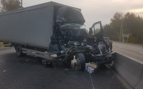 Два грузовика столкнулись около Гнилицких двориков на трассе М-7 (ВИДЕО)