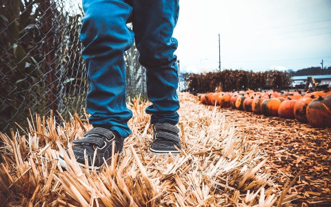 В Нижнем Новгороде похитили 3-летнего мальчика и требовали выкуп за освобождение