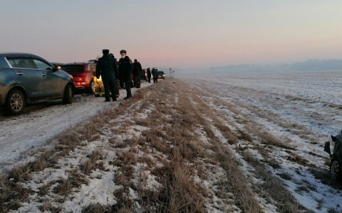 Массовая авария произошла под Богородском: пострадали два человека