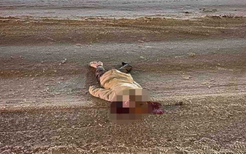 В Лыскове легковушка насмерть сбила женщину, перебегавшую дорогу (Фото)