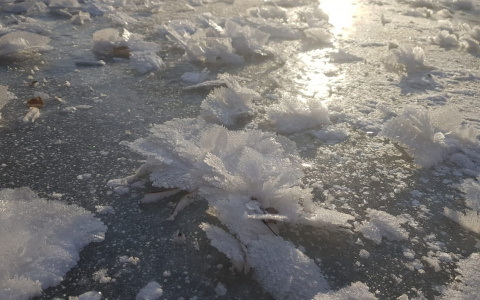 Крещенские морозы придут в Нижегородскую область на неделю раньше