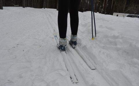 Алабай покусал лыжницу в Кстовском районе