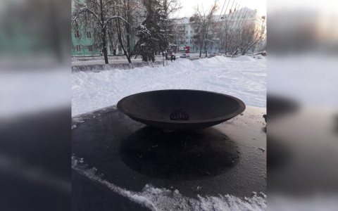 Нижегородские подростки закидали снежками Вечный огонь