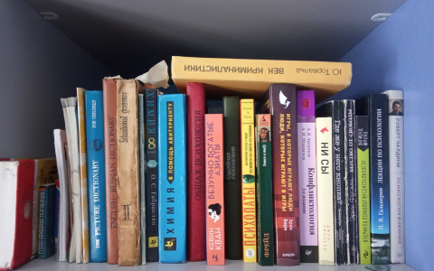 Нижегородские библиотекари призвали жителей региона делать "Шелфи"