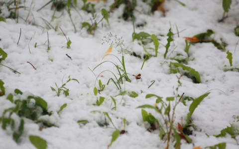 Синоптики предупредили о сильных погодных аномалиях