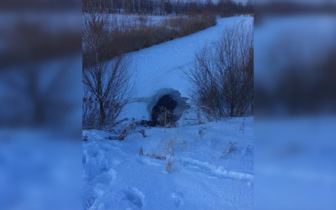 Появились подробности провала троих детей под лед на пруду в Кстовском районе