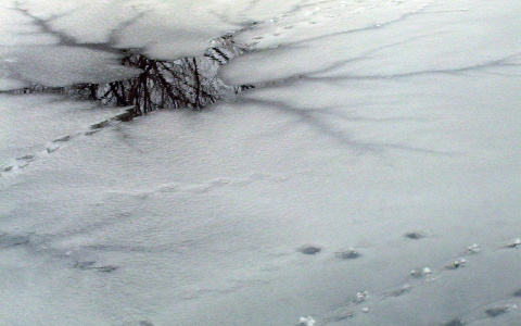 «Еще минута-две и его не было»: нижегородец рассказал о спасении ребенка в Кстовском районе