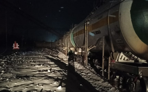 Восемь вагонов грузового поезда сошли с рельсов в Краснобаковском районе (ФОТО, ВИДЕО)