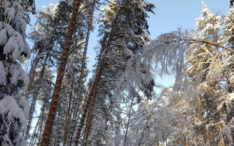 МЧС предупреждает об аномальных морозах по всей Нижегородской области