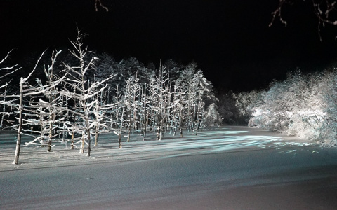 Специалисты объяснили причину аномальных морозов с 23 по 24 февраля в Нижегородской области