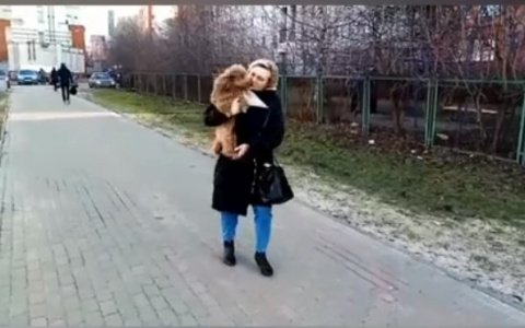 Нижегородцам заплатят 50 тысяч рублей за поимку потерянной собаки