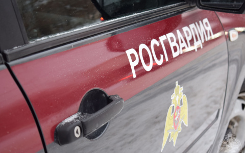 «Голоса в голове» приказали убить жену жителю Нижнего Новгорода