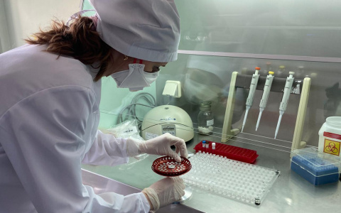 57,5 тысяч доз вакцины от COVID-19 поступит в Нижегородскую область за 10 дней