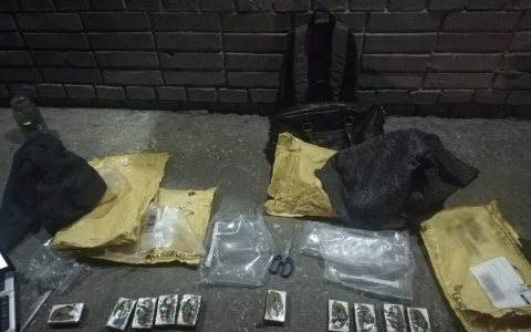 Нижегородская таможня перекрыла испанско-русский наркоканал