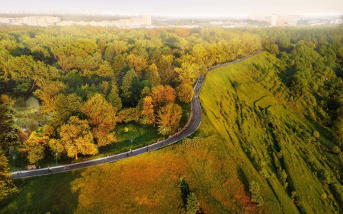 Две 40-метровые скамейки появятся в парке «Швейцария» в Нижнем Новгороде