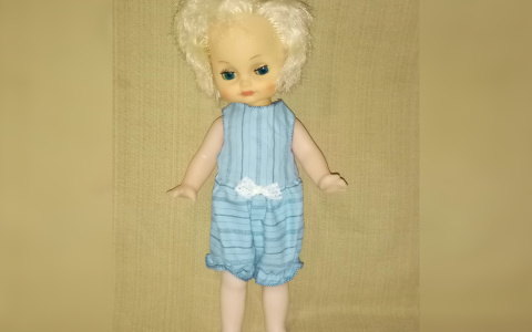 Нижегородка продает "голову Наташи" в интернете