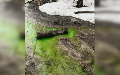 4 снимка кислотно-зеленой реки в Нижегородской области, шокировавших Сеть