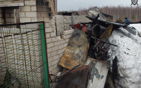 Пенсионер погиб, пытаясь сжечь свою жену на Бору