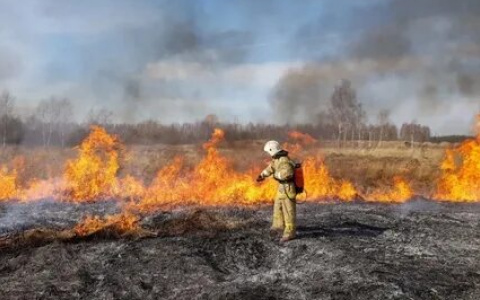 В нижегородском МЧС рассказали о первых возгораниях сухой травы в этом году
