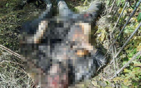 Нижегородец до смерти забил и сжёг посетителя кафе