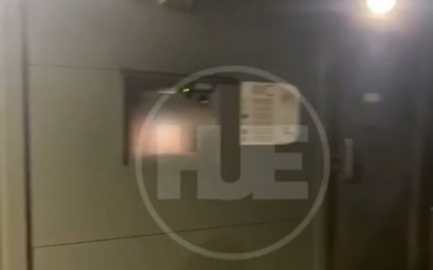 Нижегородцы сняли на видео показ интимного ролика в общественном туалете парка имени Пушкина