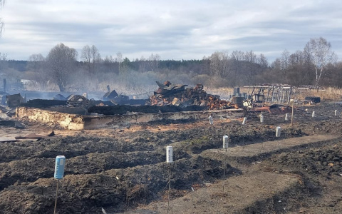 Из-за пала травы загорелись 8 жилых домов в Богородском районе
