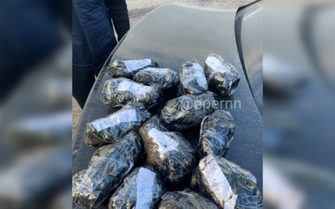 Организаторов наркомагазинов в 17 регионах страны задержали нижегородские силовики