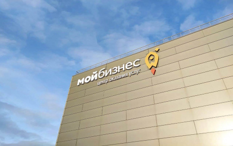 Нижегородская область заняла второе место в российском рейтинге центров «Мой бизнес»