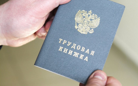 Почти тысяча нижегородских компаний допустили нарушения в работе с самозанятыми