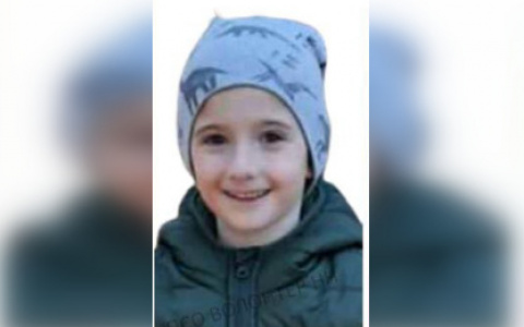 Шестилетний Ваня Вербицкий бесследно пропал в Городецком районе