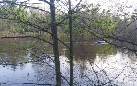 Подробности гибели шестилетнего мальчика на Узоле в Городецком районе
