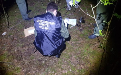 Тело 12-летней школьницы нашли в лесополосе в Нижегородской области