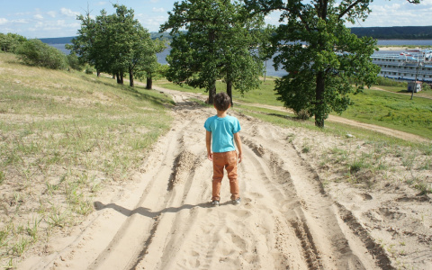 Летняя жара сменится прохладой в Нижегородской области на рабочей неделе