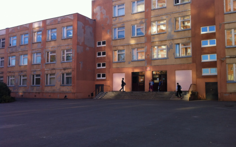 Прокуратура проверит организацию перевозок детей после убийства девочки в Большом Козино