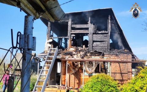 Женщина и 4-х летний ребенок погибли при пожаре в Нижегородской области