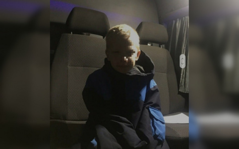 Мама пропавшего 6-летнего Артема Василенкова понесет наказание