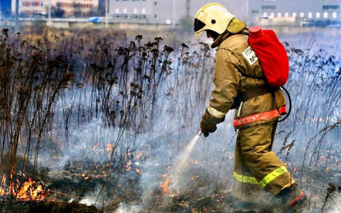4 класс пожароопасности лесов и торфяников установили на территории Нижнего Новгорода