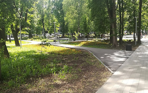 Дожди и прохлада уступят место солнцу и теплу в Нижнем Новгороде