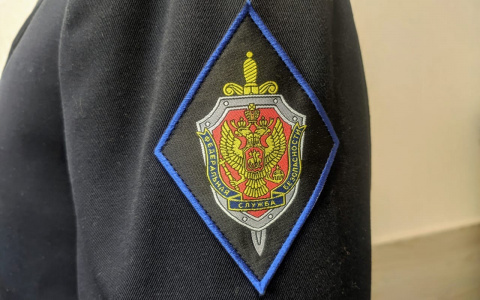 Оперативники ФСБ разоблачили около 100 подпольных оружейников в 25 регионах России