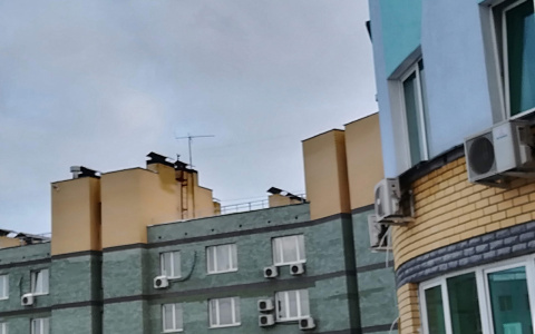 Нижегородская первокурссница оказалась в больнице после отказа родителей купить ящерицу