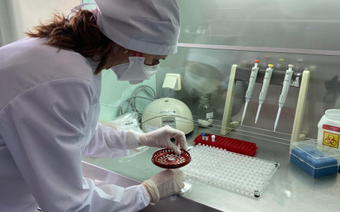 Появились данные о нижегородцах, заболевших коронавирусом повторно