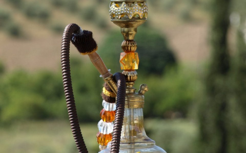 Власти Нижегородской области запретили курить кальяны в общественных местах