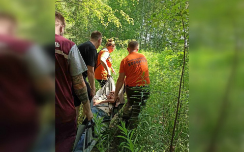 Пенсионер с инсультом провел в лесу пять дней в Нижегородской области