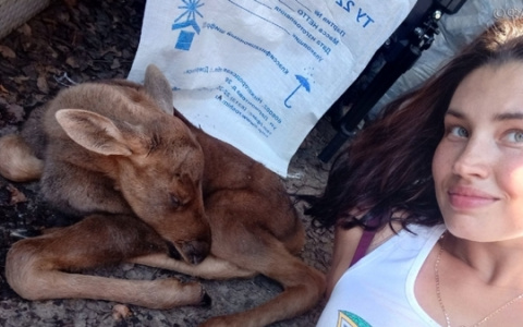 Нижегородка спасла от смерти новорожденного лосенка