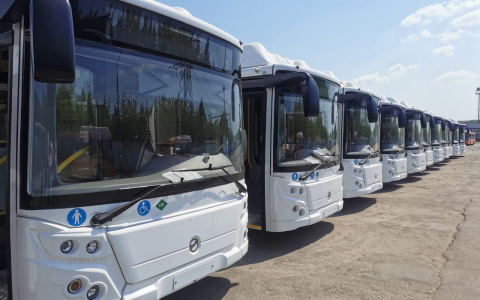20 новых автобусов пополнили автопарк «Нижегородпассажиравтотранса» благодаря нацпроекту «Безопасные качественные дороги»