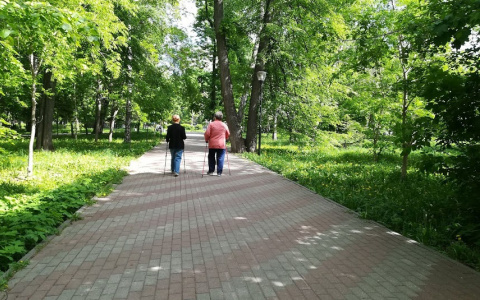 5 районов Нижнего Новгорода, где жителей атакуют клещи